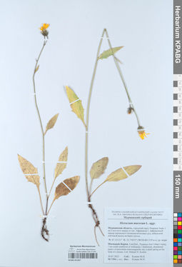 KPABG051607