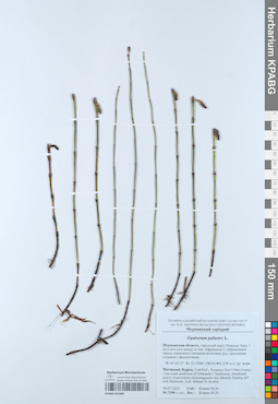 KPABG051608