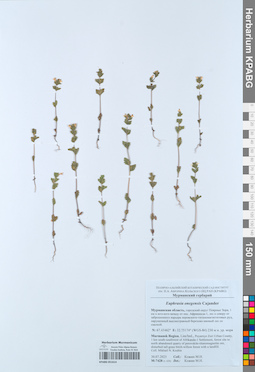 KPABG051614