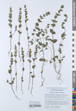 KPABG051616