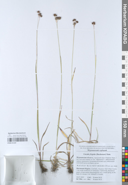 KPABG051620
