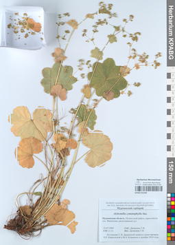 KPABG051638