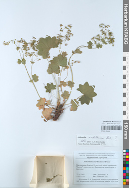 KPABG051641