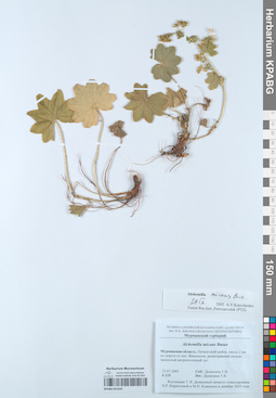 KPABG051642