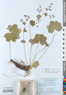 KPABG051646