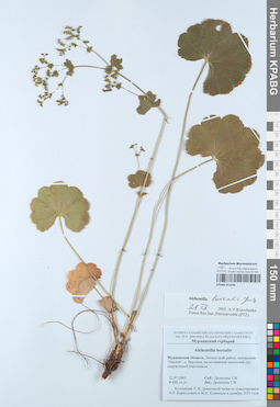 KPABG051648