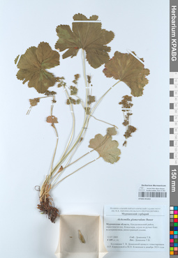 KPABG051653