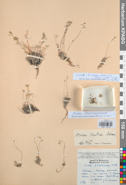 KPABG025436