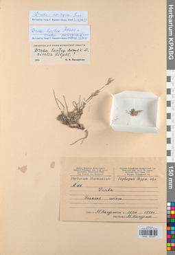 KPABG025439