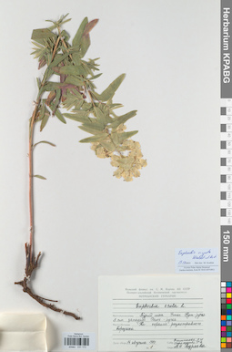 KPABG031173
