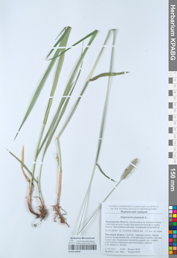 KPABG050930