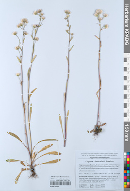 KPABG050934