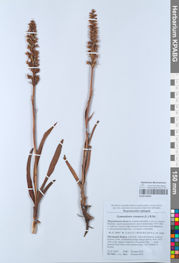 KPABG050935