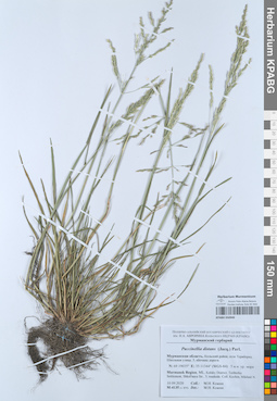 KPABG050940