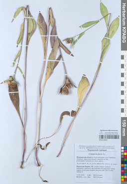 KPABG050947