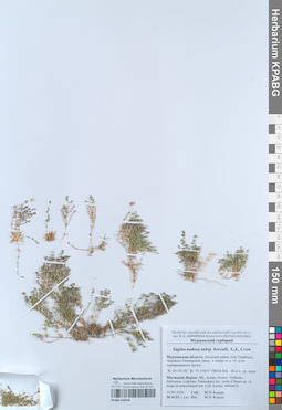 KPABG050948