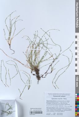 KPABG050955