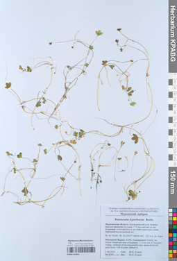 KPABG050956