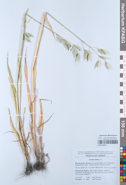 KPABG050973