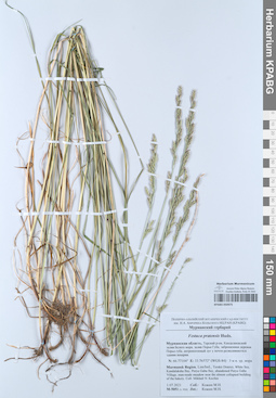KPABG050975