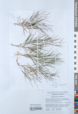 KPABG050980