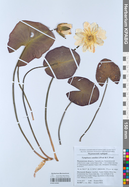 KPABG050983