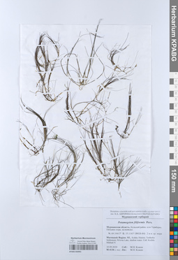 KPABG050991