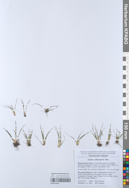 KPABG050992