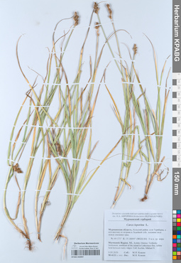 KPABG050997