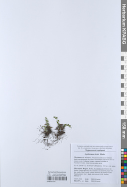 KPABG051002