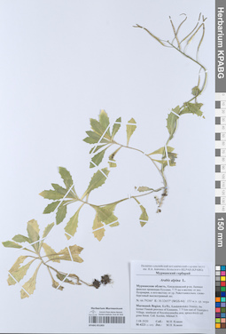 KPABG051003