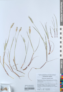 KPABG051014