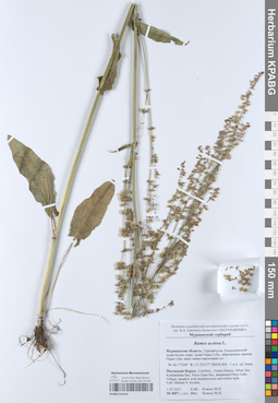 KPABG051016