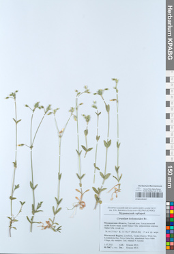 KPABG051017