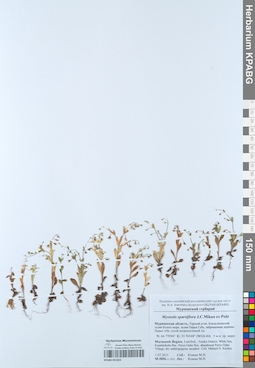 KPABG051023