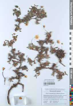KPABG051033