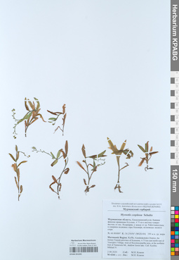 KPABG051035