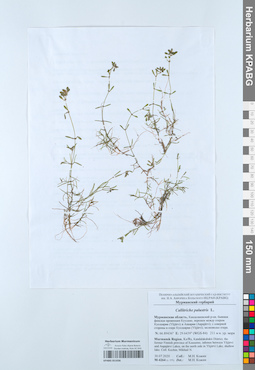 KPABG051036