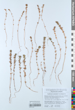 KPABG051039