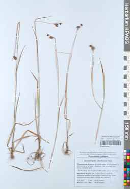 KPABG051042