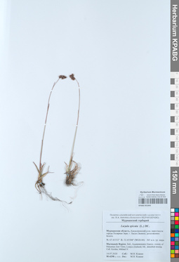 KPABG051043