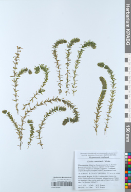 KPABG051045