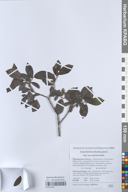 KPABG051364