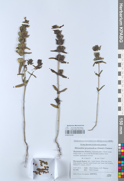 KPABG051365