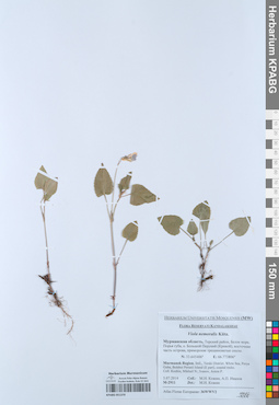 KPABG051370