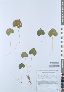 KPABG051372