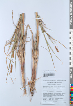 KPABG051374