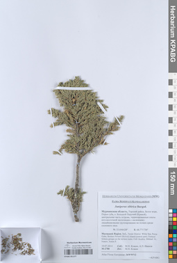 KPABG051377
