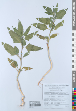 KPABG051379
