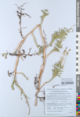 KPABG051380